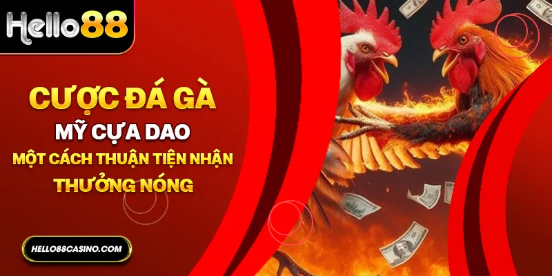 Cược đá gà mỹ cựa dao một cách thuận tiện nhận thưởng nóng