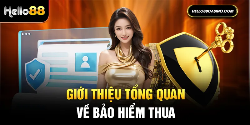 Giới thiệu tổng quan về bảo hiểm thua