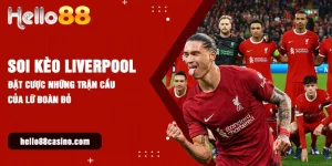 soi kèo liverpool hello88